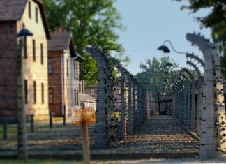 Zwiedzanie Auschwitz