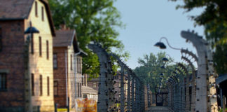 Zwiedzanie Auschwitz