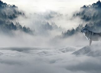 Jak wygląda zimą w Ameryce? Jak wygląda zimą w Ameryce?