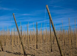 Kto ma 1 miejsce w rankingu FIFA?