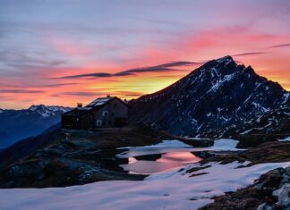 Kto wyeliminował Niemców? Kto wyeliminował Niemców?