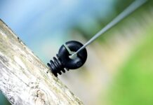 Jak Ruscy nazywają Polaków?