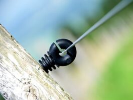 Jak Ruscy nazywają Polaków?