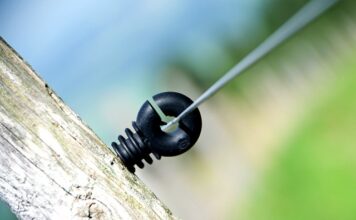 Jak Ruscy nazywają Polaków?