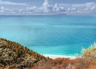 Czy Albanią to dobra drużyna?