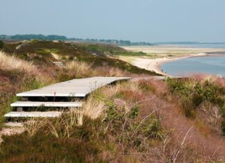 Ile jest Polek i Polaków?