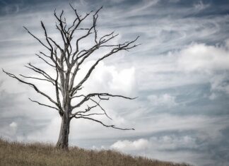 W którym kraju najlepiej się żyje?