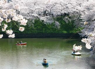 Czy w Japonii jest bieda?