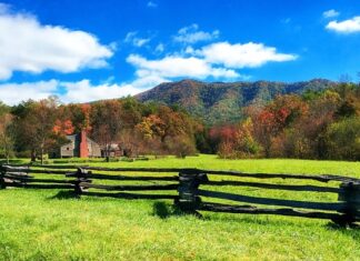 Ile kosztuje ranczo w Arizonie?