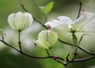 Ile godzin leci się na Florydę? Ile godzin leci się na Florydę?