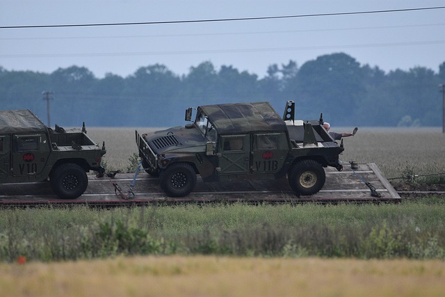 Czego nie wolno przewozić do USA? Czego nie wolno przewozić do USA?