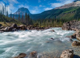 Kto zamieszkuje Amerykę?