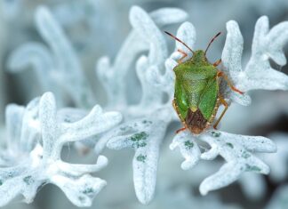 Kiedy są tanie loty do Tajlandii? Kiedy są tanie loty do Tajlandii?