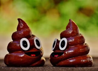 Co się dzieje z kupą w samolocie? Co się dzieje z kupą w samolocie?