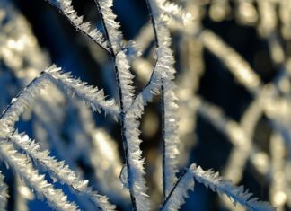 Kiedy jest pora deszczowa na Florydzie?