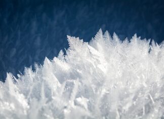 Co znaleziono pod lodem?