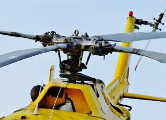 Co Krzysztof Kolumb przywiózł z Ameryki?