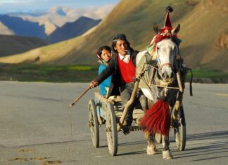 Jak nazywa się rdzennych mieszkańców Ameryki?