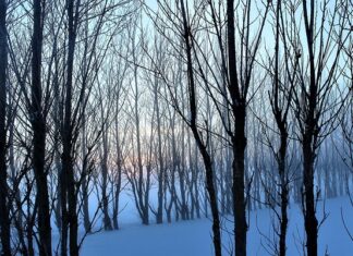Jakie jest najbardziej zaludnione miasto na świecie?