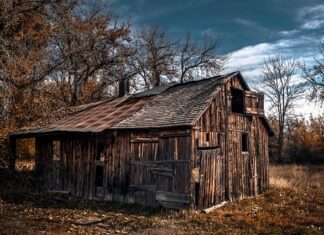 Ile kosztuje ranczo w Teksasie?