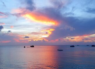 Jak dostać się z Bangkoku do Koh Tao?