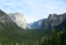 Jakie linie latają z Polski do USA?