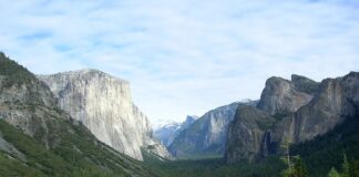 Jakie linie latają z Polski do USA?