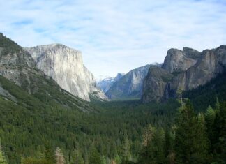 Jakie linie latają z Polski do USA?