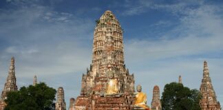 Czy w Tajlandii są pandy?