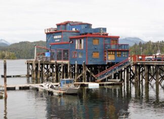 Z kim zagrają Polacy?