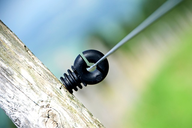 Ile Polaków mieszka w Rosji? Ile Polaków mieszka w Rosji?