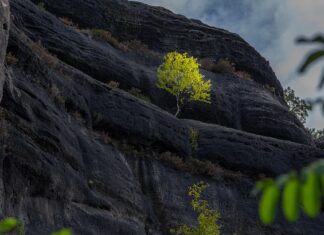 W jakim kraju nie ma gór? W jakim kraju nie ma gór?