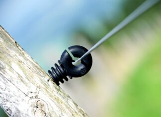 Czy w USA lubią Polaków?