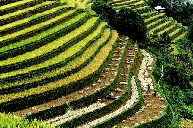 Ile krajów jest w Ameryce Łacińskiej? Ile krajów jest w Ameryce Łacińskiej?
