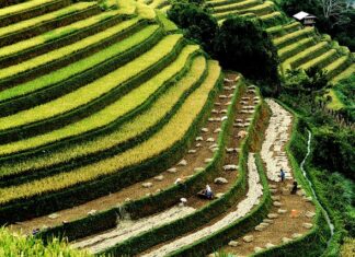 Dlaczego w Ameryce mówi się po angielsku?