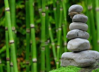 Czy Japonia awansowała?